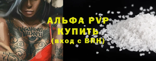 a pvp Новозыбков