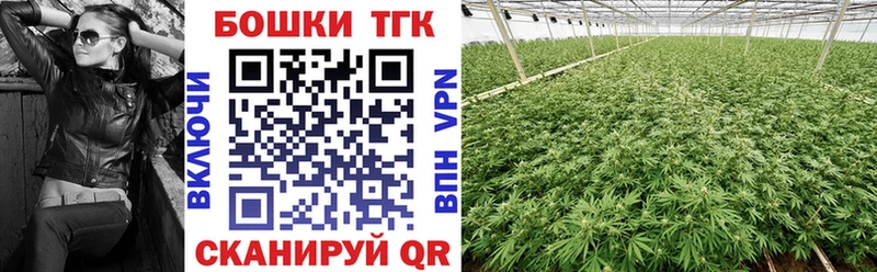Конопля семена  где купить наркотик  Камышин 